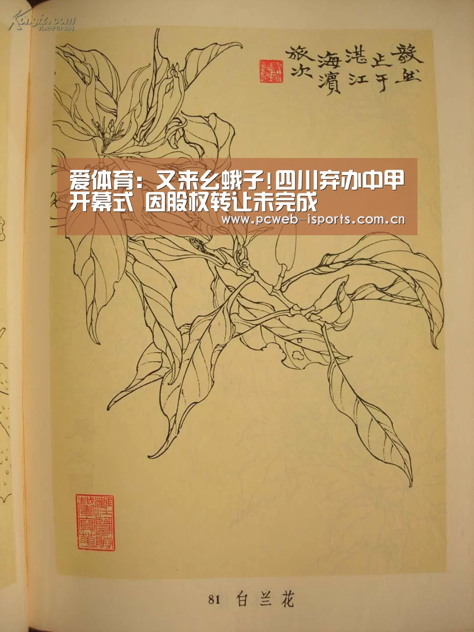 爱体育:又来幺蛾子!四川弃办中甲开幕式 因股权转让未完成(图4) 爱体育平台