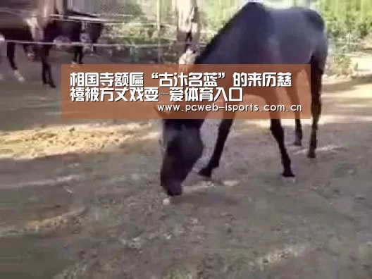 相国寺额匾“古汴名蓝”的来历慈禧被方丈戏耍-爱体育入口(图3) 爱体育h5