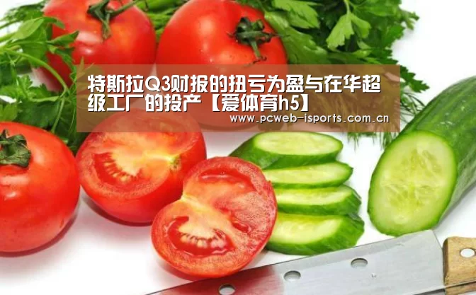 特斯拉Q3财报的扭亏为盈与在华超级工厂的投产【爱体育h5】(图2) 爱体育h5