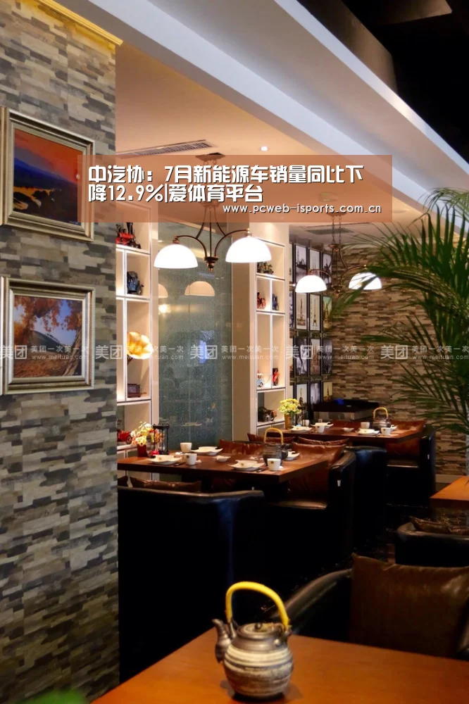 中汽协:7月新能源车销量同比下降12.9%|爱体育平台(图4) 爱体育官方网站