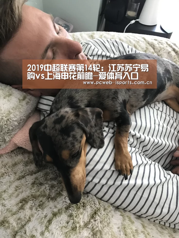 2019中超联赛第14轮:江苏苏宁易购vs上海申花前瞻-爱体育入口(图2) 爱体育官方网站